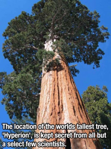 Interesting Facts That You Probably Didn't Know 6