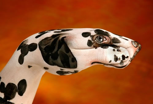 Amazing Handimals Hand Art 14