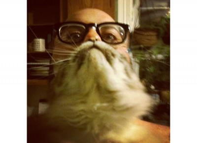top 10 cat beards (4)