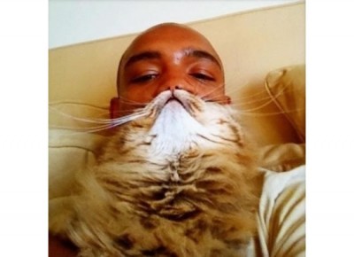 top 10 cat beards (8)