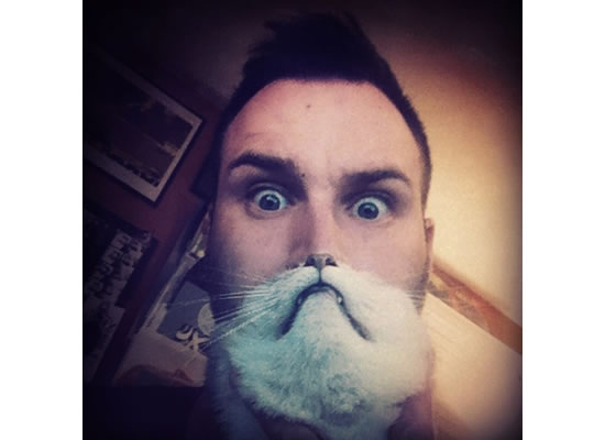 top 10 cat beards