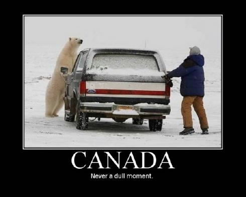 why life can be very funny north of the boarder (3)
