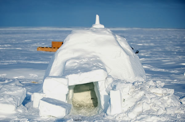 why life can be very funny north of the boarder (6)