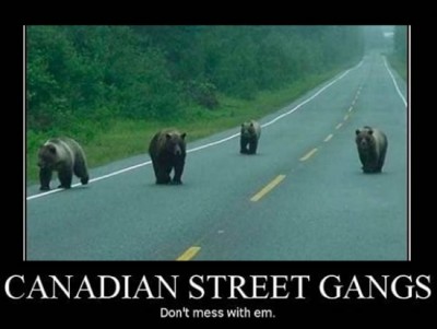 why life in canada is better (2)