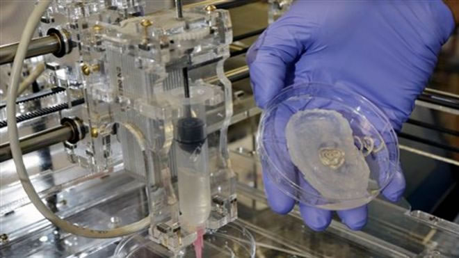 Bionic Ear Successfully Created Using 3D Printer And Cow Cells