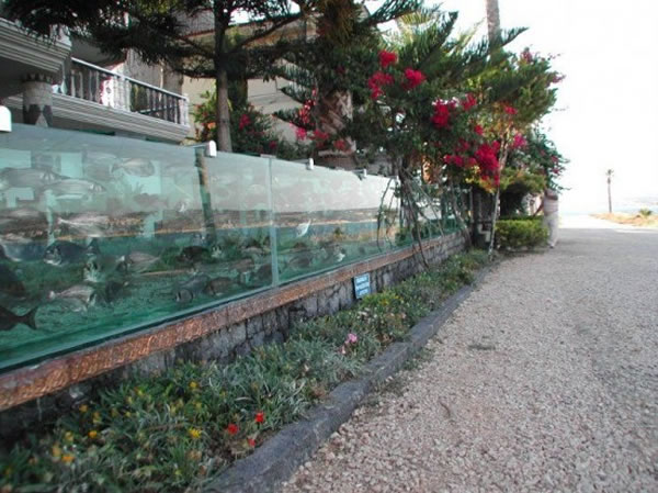 Eccentric Millionaire Builds Aquarium Fence Around His Mansion  2
