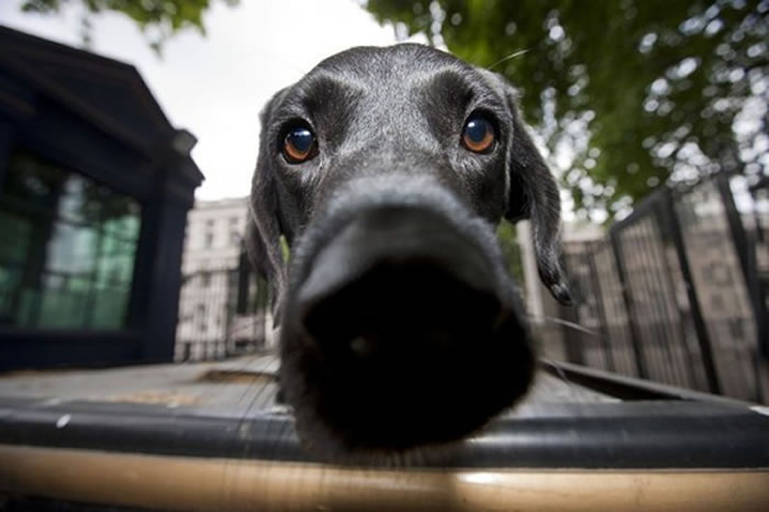 Worried Your Kids Are Using Drugs