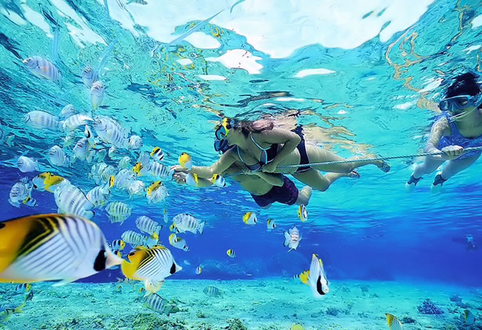 bora bora island (3)