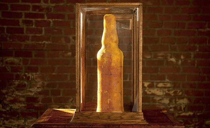 Amazing Sculptures Created By Bees