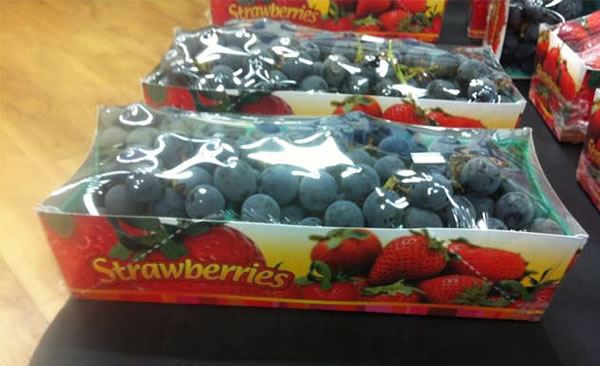 when things go wrong pictures 15