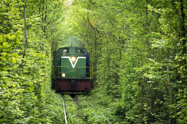 Amazing Pictures Of Trains that Will Have Trainspotters Drooling 21