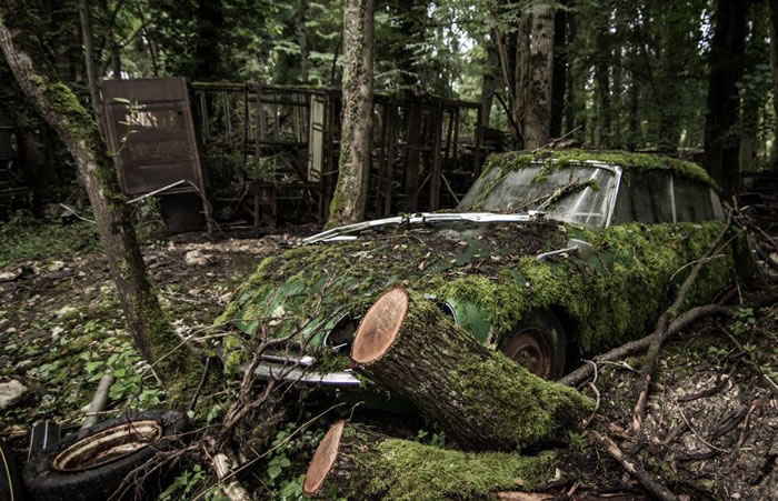 abandoned vehicles (1)