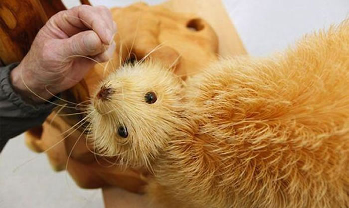 animal sculptures (7)