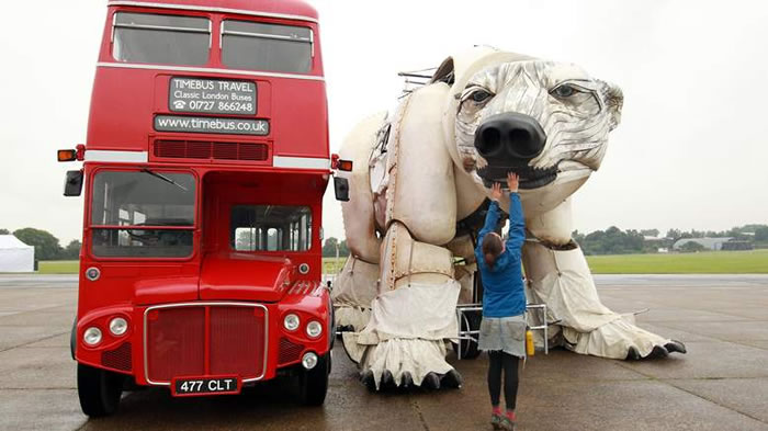 largest polar bear in the world (1)