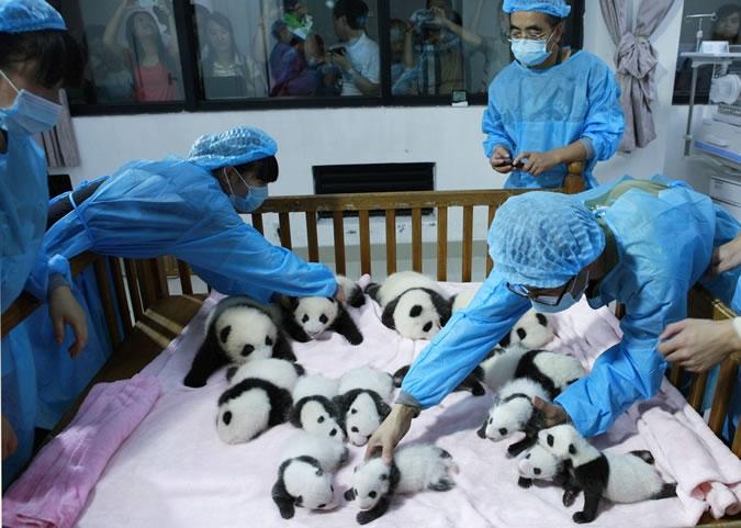 China Daily / Reuters