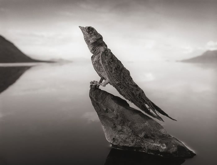 abstract sculptures (5)