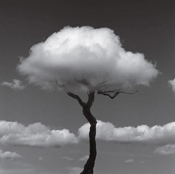Black And White Art