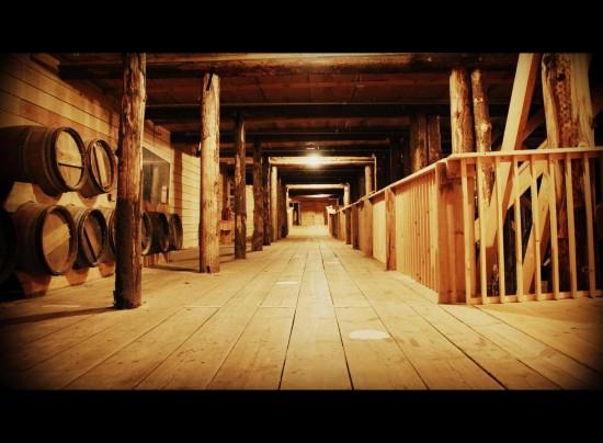 Artist And Carpenter Handyman Builds Life Size Noah’s Ark Replica (3)