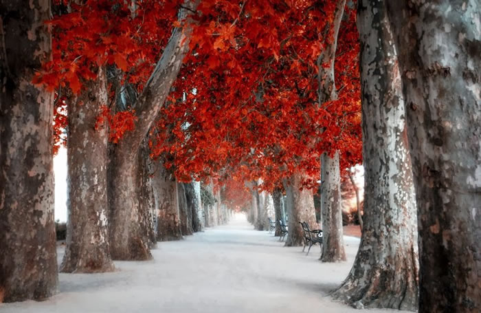 16. Walk with me