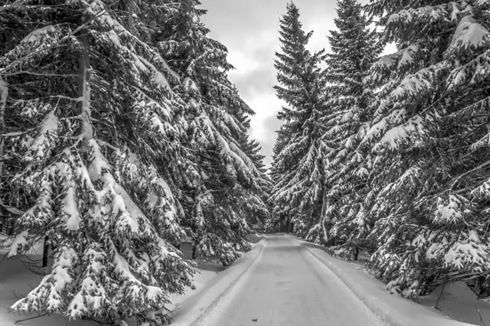 20. Winters Paths by Damian Walker