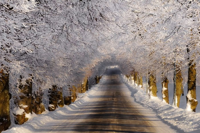 Grab Your Winter Coats And Take A Romantic Walk Along These Walkways
