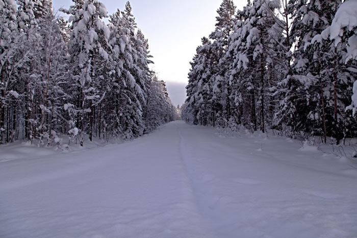 Grab Your Winter Coats And Take A Romantic Walk Along These Walkways