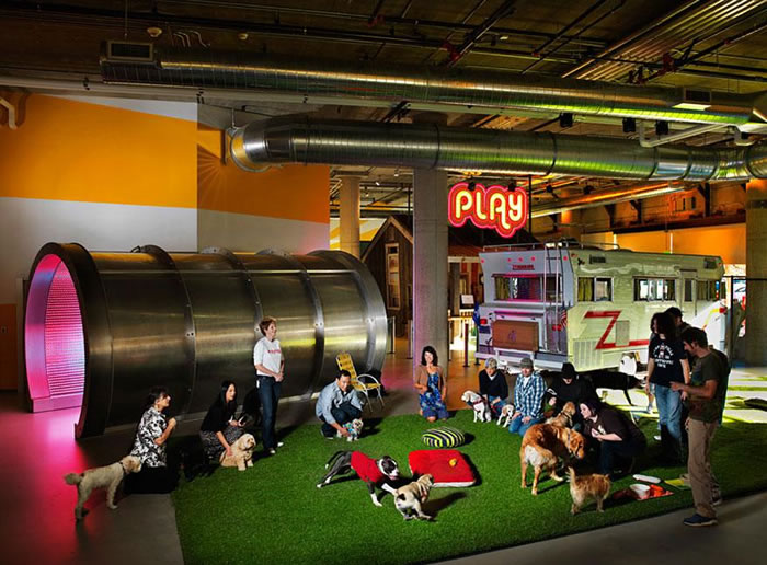Zynga - Coolest Small Businesses Office Ideas Ever