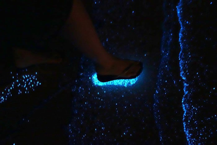 Maldives Resort Visitors Witness Amazing Starry Night Sea Phenomenon 5