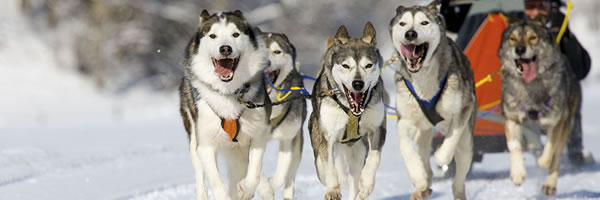 40 Adventure Vacations To Take Before You Die 14