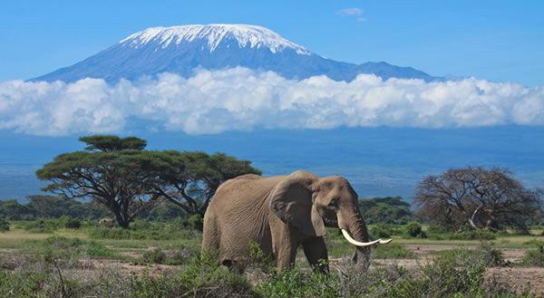 40 Adventure Vacations To Take Before You Die 9