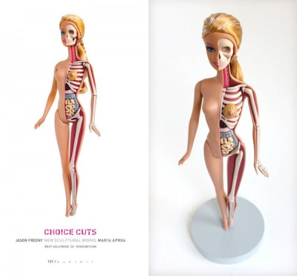 Anatomy Models Toys (2)