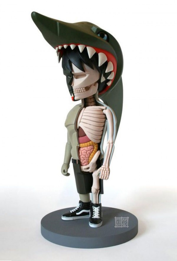 Anatomy Models Toys (3)