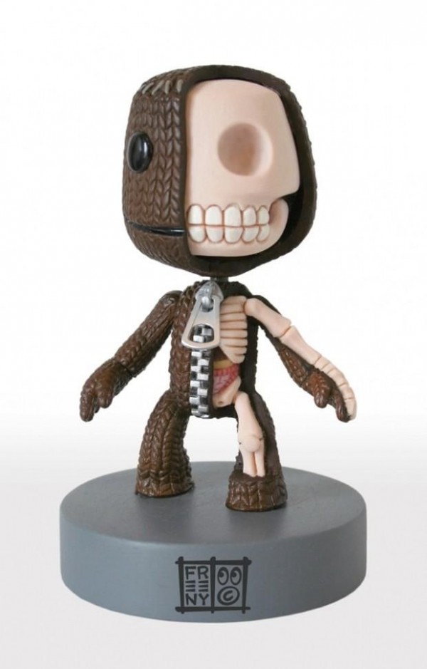 Anatomy Models Toys (5)