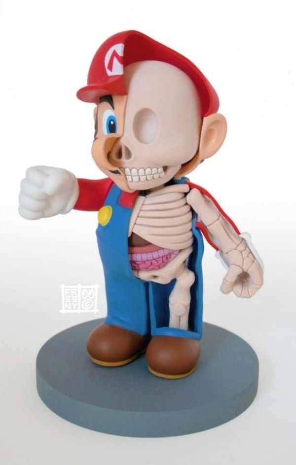 Bizarre 3D Anatomy Models Toys (11)