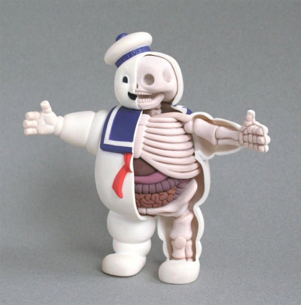 Bizarre 3D Anatomy Models Toys (13)
