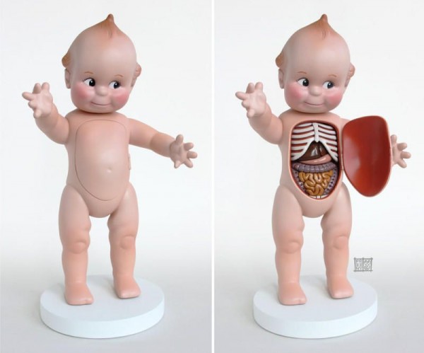 Bizarre 3D Anatomy Models Toys (2)