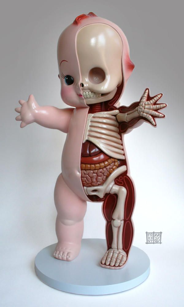 Bizarre 3D Anatomy Models Toys (5)