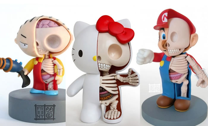 Bizarre 3D Anatomy Models Toys