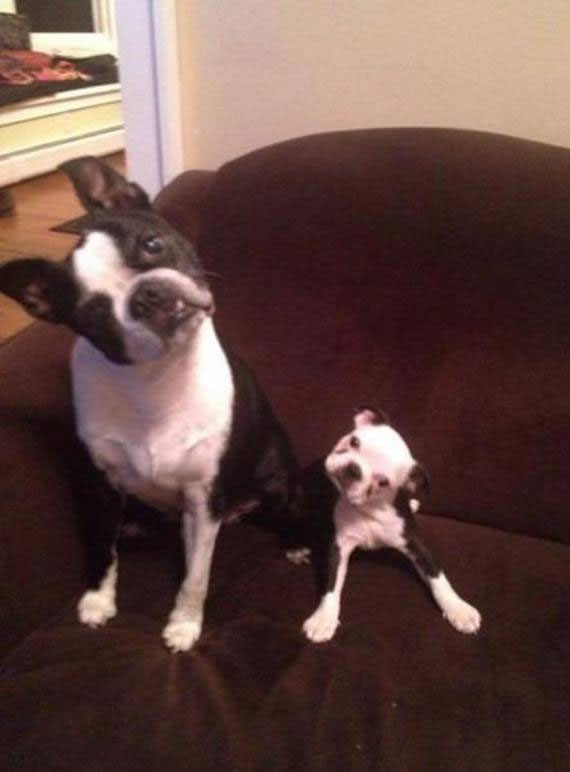 No DNA Test Is Needed Here 14