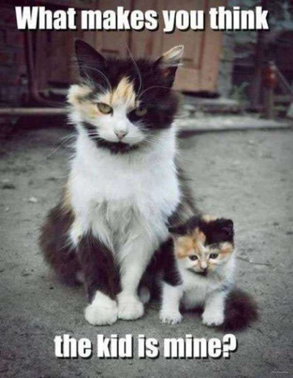 No DNA Test Is Needed Here 8
