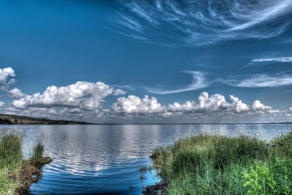 Oil Canvas Painting You Won't Believe Are Not Photos (1)