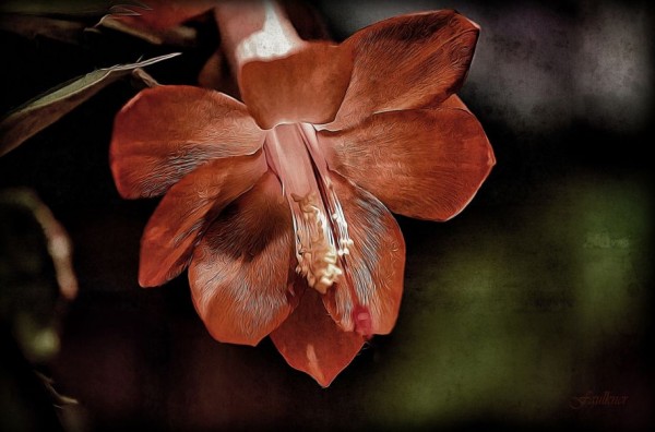 Oil Canvas Painting You Won't Believe Are Not Photos (10)