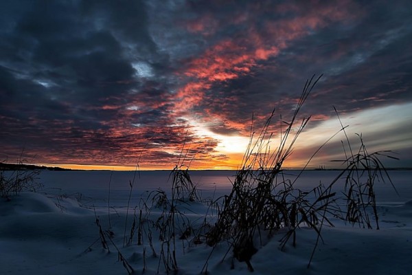 Oil Canvas Painting You Won't Believe Are Not Photos (3)