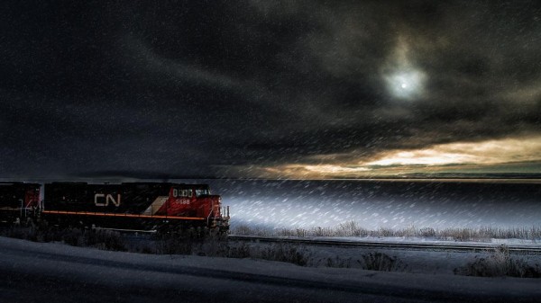 Oil Canvas Painting You Won't Believe Are Not Photos (6)