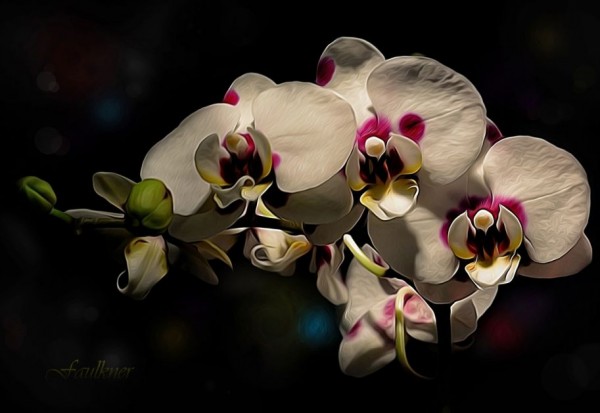 Oil Canvas Painting You Won't Believe Are Not Photos (7)