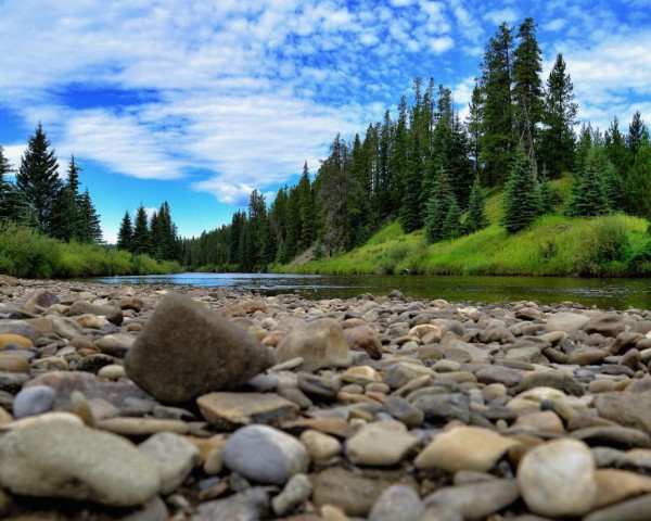 Oil Canvas Painting You Won't Believe Are Not Photos (8)