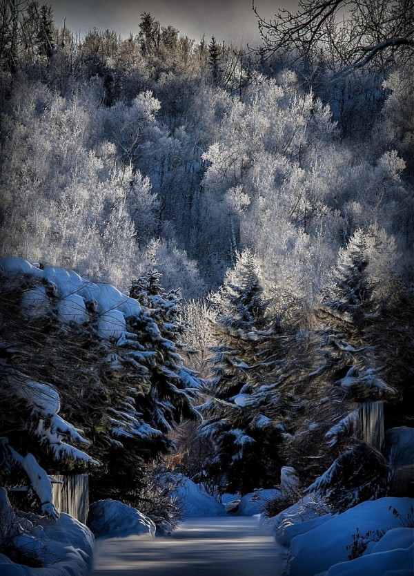 Oil Canvas Painting You Won't Believe Are Not Photos (9)