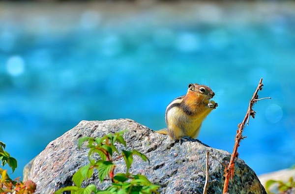 Painting You Won't Believe Are Not Photos (3)