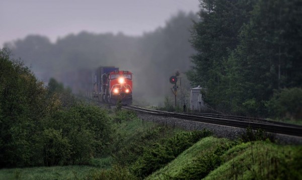 Painting You Won't Believe Are Not Photos (5)