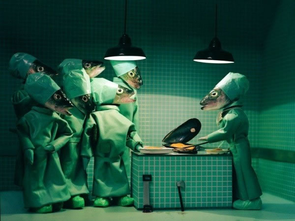 There's Something Fishy About This Photography Site (2)